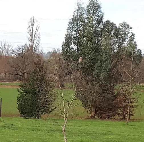 Jazz Et 住宿加早餐酒店 Monlezun