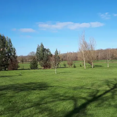 Jazz Et Oda ve Kahvaltı