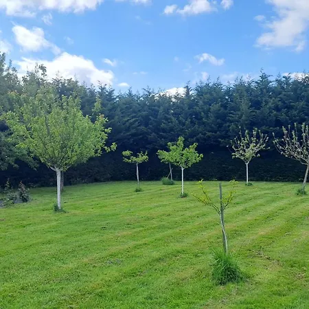 Oda ve Kahvaltı Jazz Et Monlezun