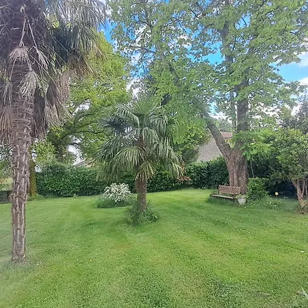 Jazz Et Oda ve Kahvaltı Monlezun