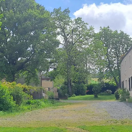 Jazz Et Oda ve Kahvaltı